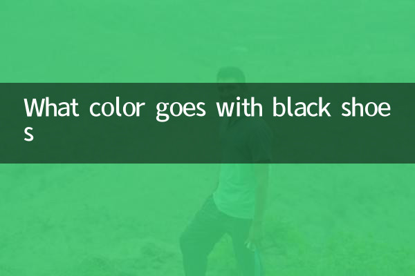 Какой цвет сочетается с черной обувью