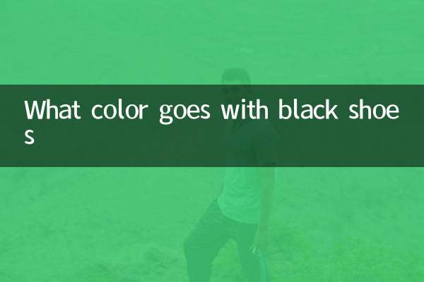 Какой цвет сочетается с черной обувью
