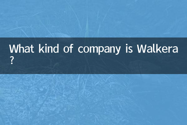 Walkera چه نوع شرکتی است؟