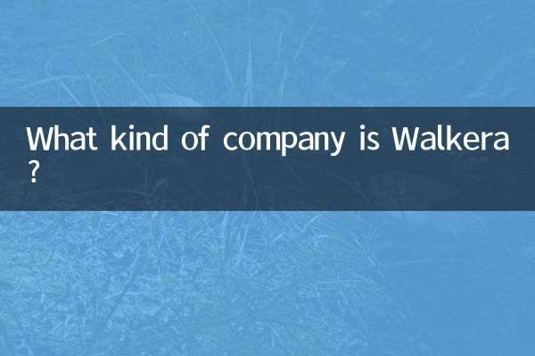 Walkera چه نوع شرکتی است؟