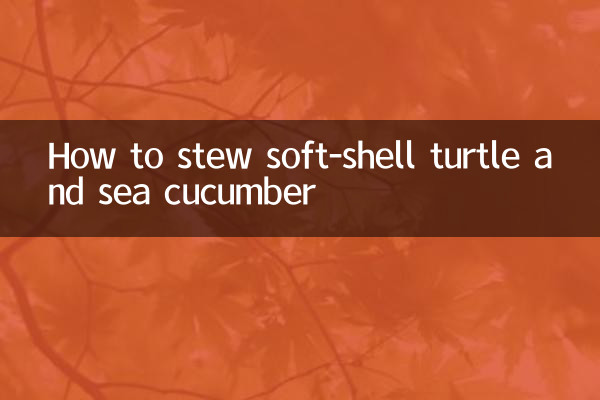 नरम खोल वाले कछुए और समुद्री खीरे को कैसे पकाएं