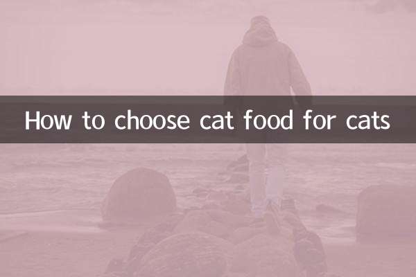 Como escolher comida de gato para gatos