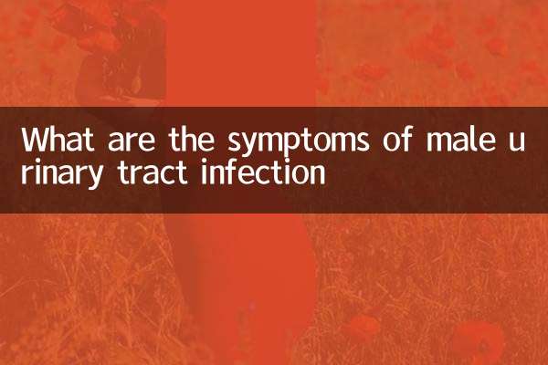 What are the symptoms of male urinary tract infection