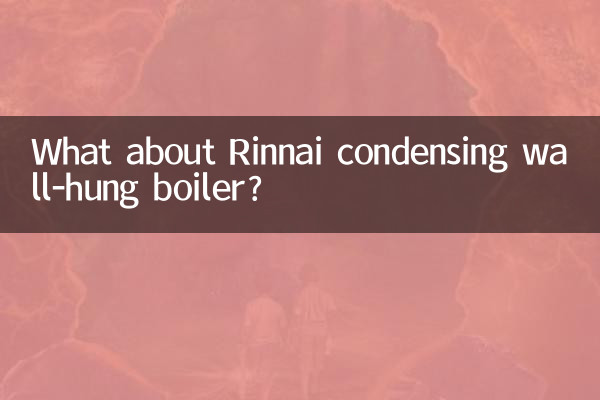 Che ne dici della caldaia murale a condensazione Rinnai?