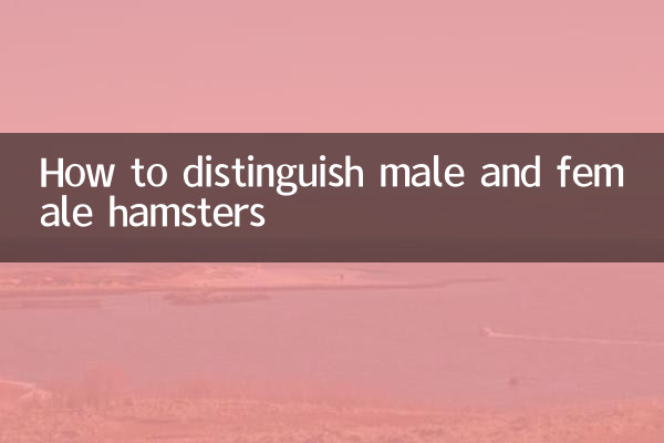 Come distinguere i criceti maschi e femmine