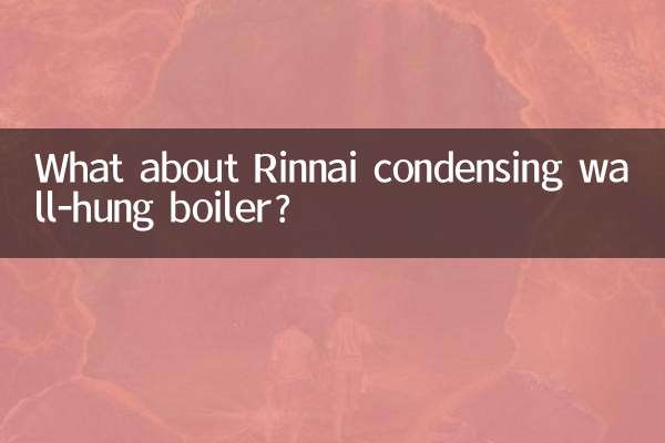 রিন্নাই কনডেন্সিং ওয়াল-হ্যাং বয়লার সম্পর্কে কী?
