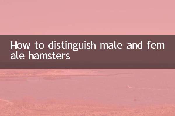 كيفية التمييز بين ذكر وأنثى الهامستر