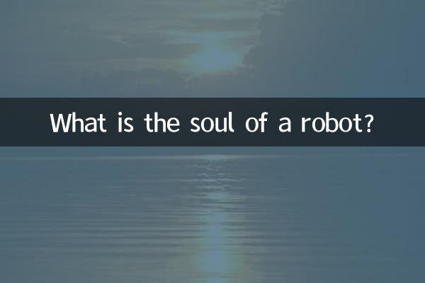 ロボットの魂とは何ですか？