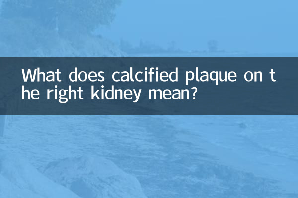 What does calcified plaque on the right kidney mean?