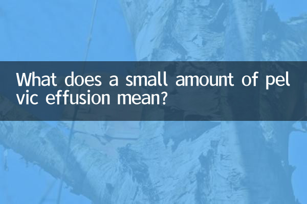 ماذا يعني وجود كمية صغيرة من انصباب الحوض؟