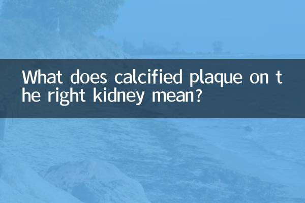 What does calcified plaque on the right kidney mean?