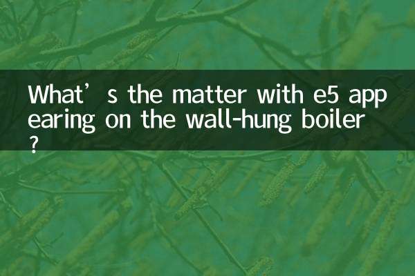 دیوار کی لپیٹ میں بوائلر پر E5 کے ساتھ کیا معاملہ دکھائی دیتا ہے؟