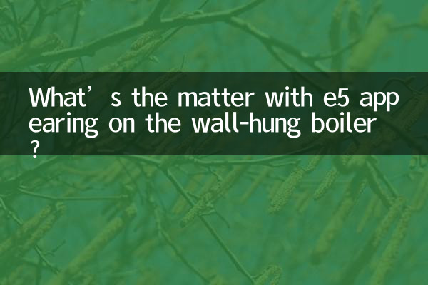 دیوار کی لپیٹ میں بوائلر پر E5 کے ساتھ کیا معاملہ دکھائی دیتا ہے؟