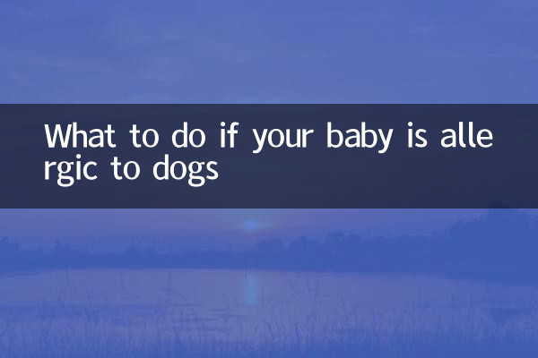 Que faire si votre bébé est allergique aux chiens