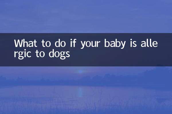 Que faire si votre bébé est allergique aux chiens