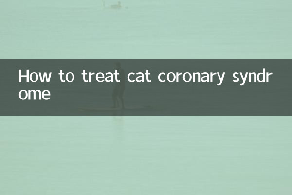 Comment traiter le syndrome coronarien du chat