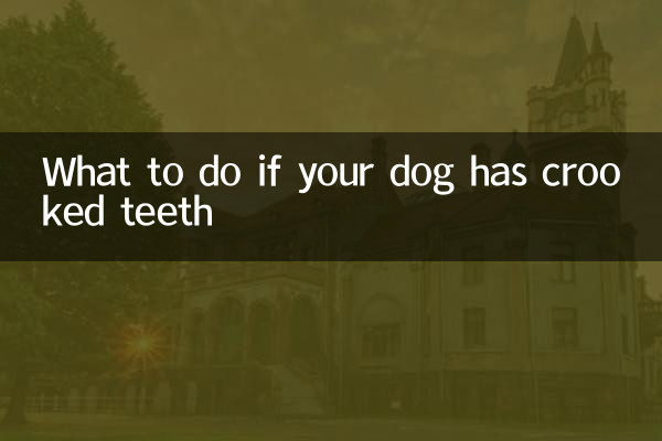 Cosa fare se il tuo cane ha i denti storti