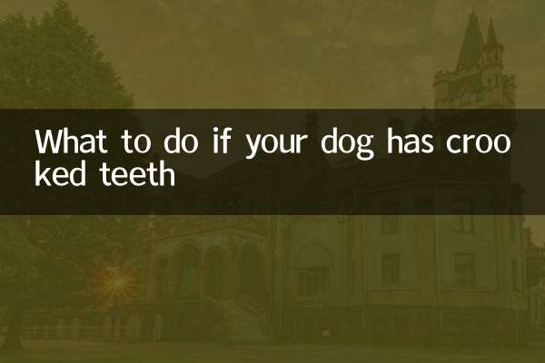 Cosa fare se il tuo cane ha i denti storti