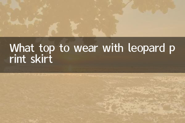ヒョウ柄のスカートに合わせるトップスは何ですか？