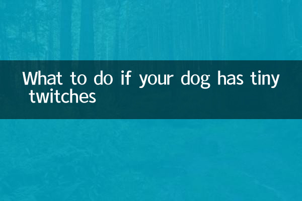 개가 작은 경련을 하는 경우 어떻게 해야 할까요?