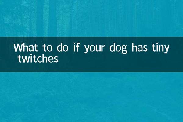 犬が小さなけいれんを起こした場合の対処法