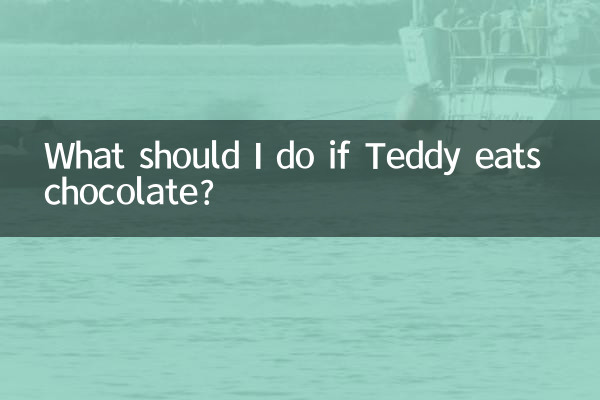¿Qué debo hacer si Teddy come chocolate?