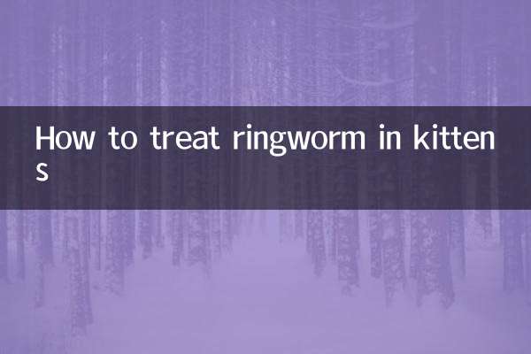 Como tratar micose em gatinhos