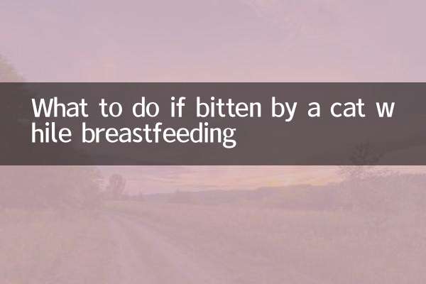 Was tun, wenn eine Katze während des Stillens gebissen wird?