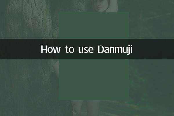 Как использовать Данмуджи