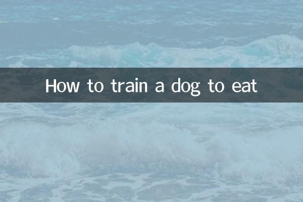 چگونه سگ را برای غذا خوردن تربیت کنیم