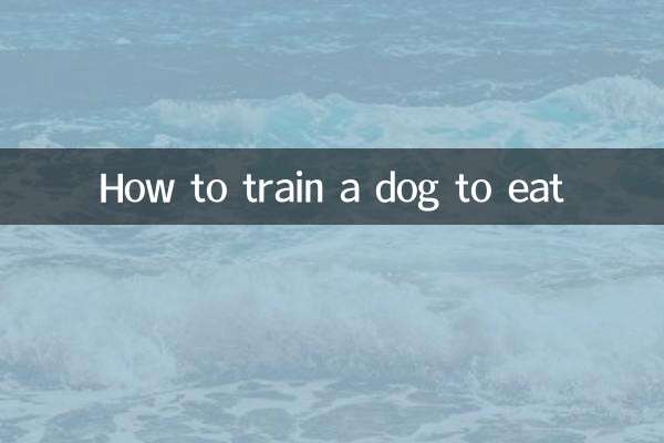 چگونه سگ را برای غذا خوردن تربیت کنیم
