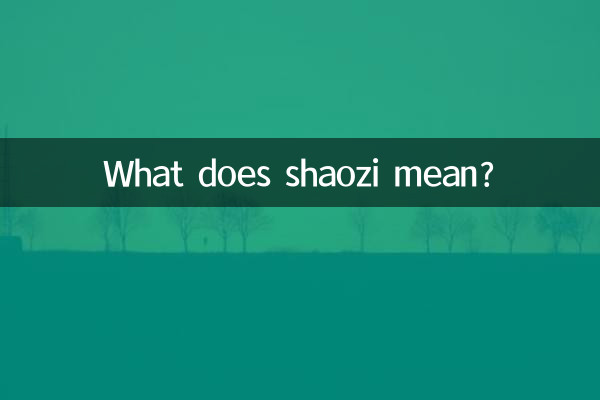 O que significa shaozi?