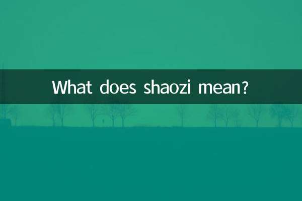 O que significa shaozi?