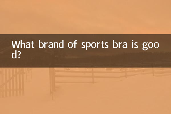 스포츠브라 어떤 브랜드가 좋은가요?