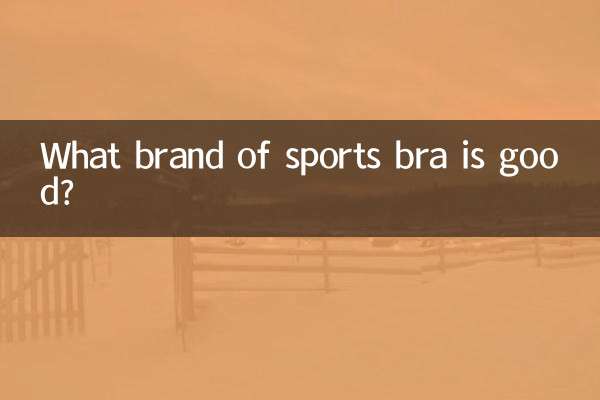 스포츠브라 어떤 브랜드가 좋은가요?