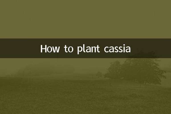 Как посадить кассию