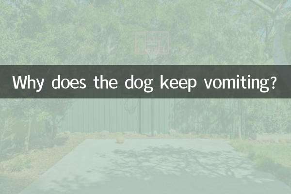 কুকুর বমি করে কেন?