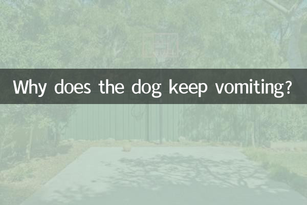 কুকুর বমি করে কেন?