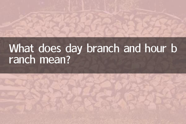 日支时支什么意思