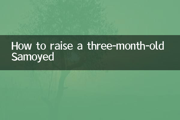 چگونه یک ساموید سه ماهه را بزرگ کنیم؟