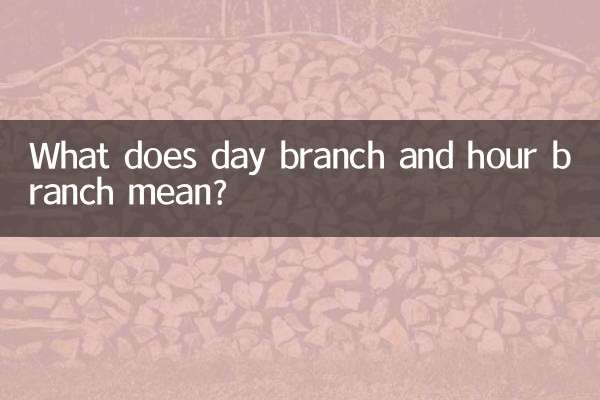 日支时支什么意思