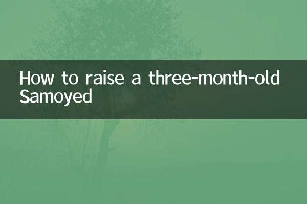 چگونه یک ساموید سه ماهه را بزرگ کنیم؟