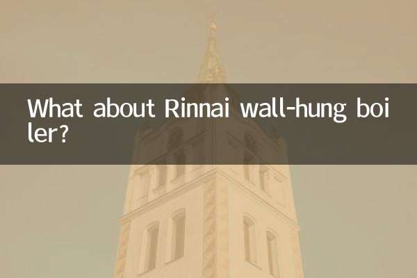ماذا عن غلاية Rinnai المعلقة على الحائط؟