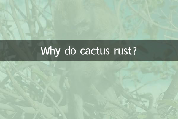 ¿Por qué se oxidan los cactus?