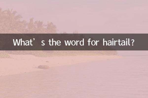 What’s the word for hairtail?