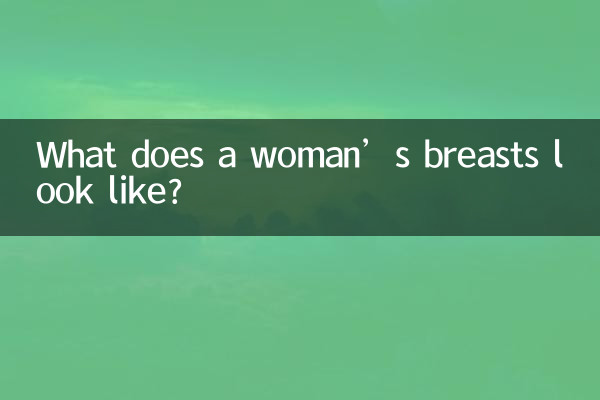 여자의 가슴은 어떻게 생겼나요?