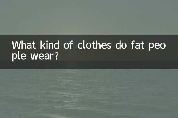 What kind of clothes do fat people wear?