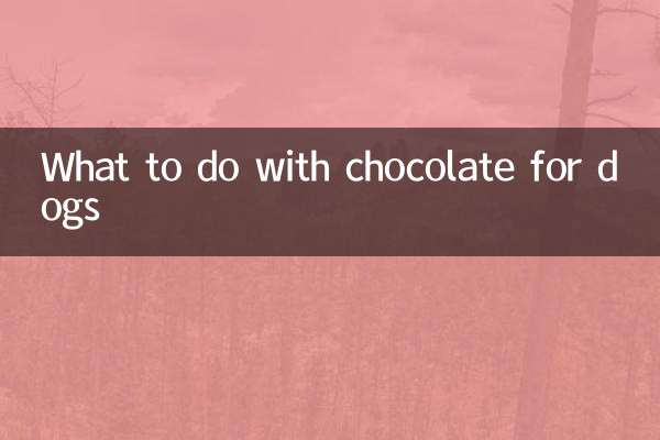 狗巧克力怎么办