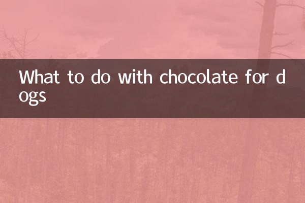 कुत्तों के लिए चॉकलेट का क्या करें?