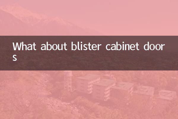 ブリスターキャビネットのドアはどうでしょうか